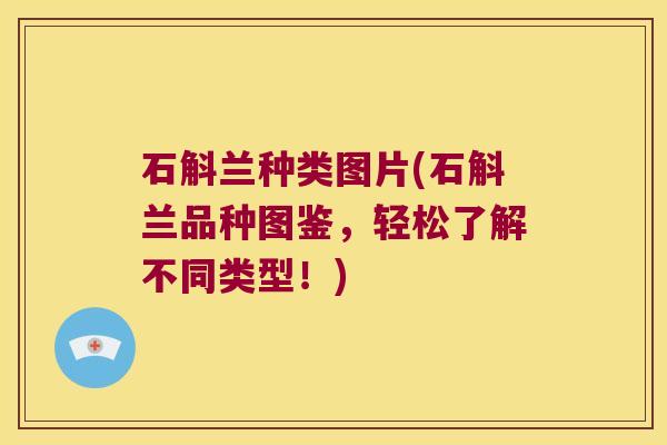 石斛兰种类图片(石斛兰品种图鉴，轻松了解不同类型！)