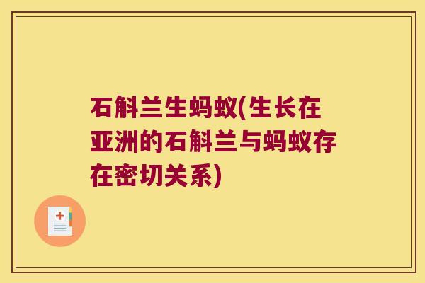 石斛兰生蚂蚁(生长在亚洲的石斛兰与蚂蚁存在密切关系)