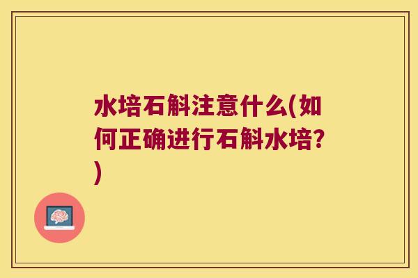 水培石斛注意什么(如何正确进行石斛水培？)