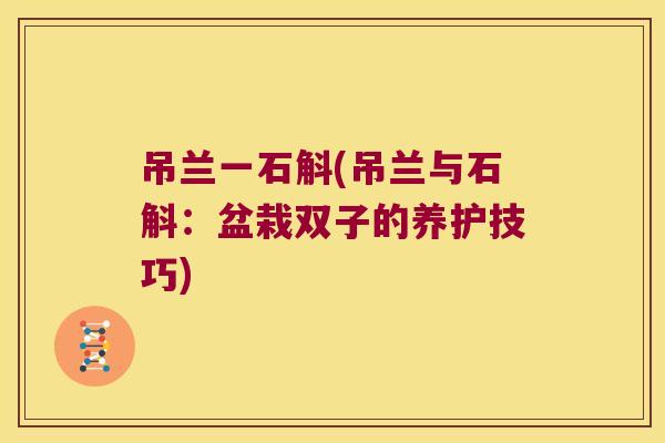吊兰一石斛(吊兰与石斛：盆栽双子的养护技巧)