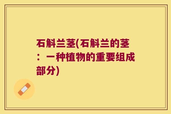 石斛兰茎(石斛兰的茎：一种植物的重要组成部分)