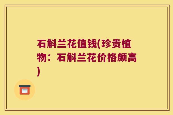 石斛兰花值钱(珍贵植物：石斛兰花价格颇高)