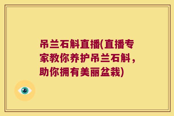 吊兰石斛直播(直播专家教你养护吊兰石斛，助你拥有美丽盆栽)