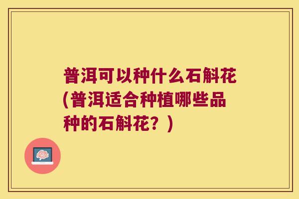 普洱可以种什么石斛花(普洱适合种植哪些品种的石斛花？)