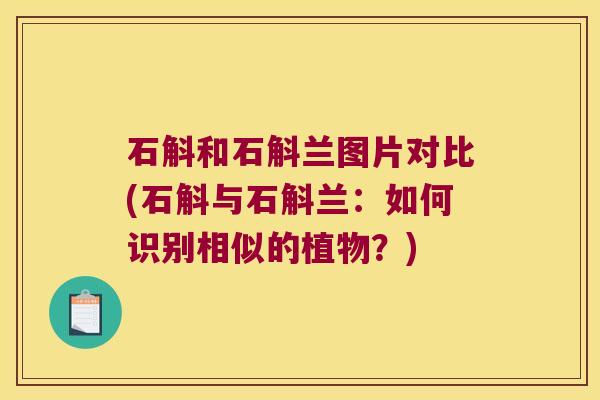 石斛和石斛兰图片对比(石斛与石斛兰：如何识别相似的植物？)