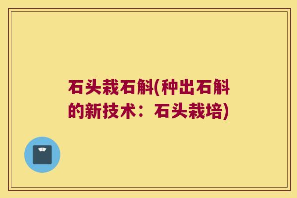 石头栽石斛(种出石斛的新技术：石头栽培)