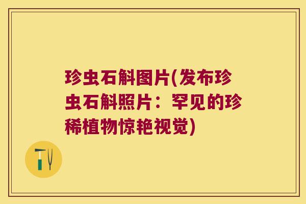 珍虫石斛图片(发布珍虫石斛照片：罕见的珍稀植物惊艳视觉)