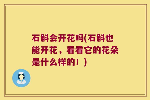石斛会开花吗(石斛也能开花，看看它的花朵是什么样的！)
