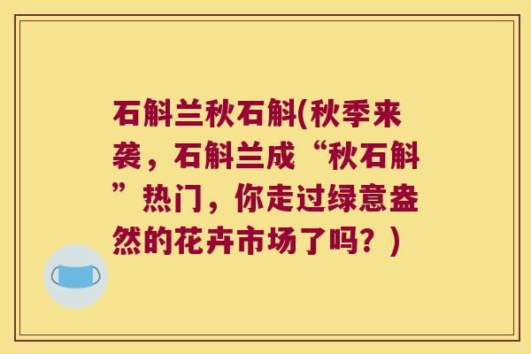 石斛兰秋石斛(秋季来袭，石斛兰成“秋石斛”热门，你走过绿意盎然的花卉市场了吗？)