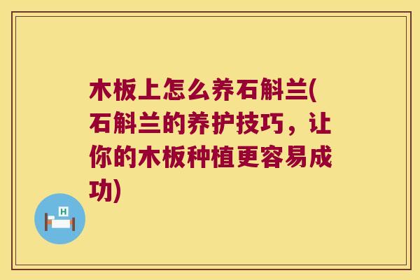 木板上怎么养石斛兰(石斛兰的养护技巧，让你的木板种植更容易成功)