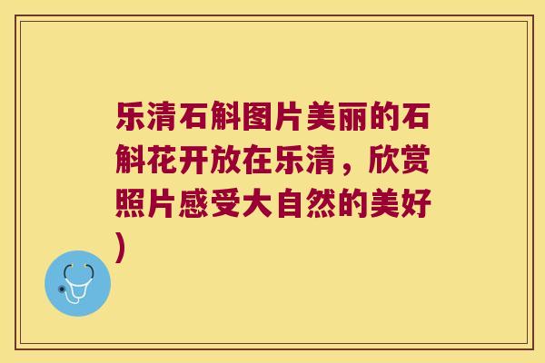 乐清石斛图片美丽的石斛花开放在乐清，欣赏照片感受大自然的美好)