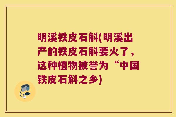 明溪铁皮石斛(明溪出产的铁皮石斛要火了，这种植物被誉为“中国铁皮石斛之乡)