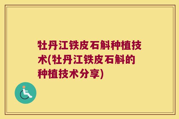 牡丹江铁皮石斛种植技术(牡丹江铁皮石斛的种植技术分享)