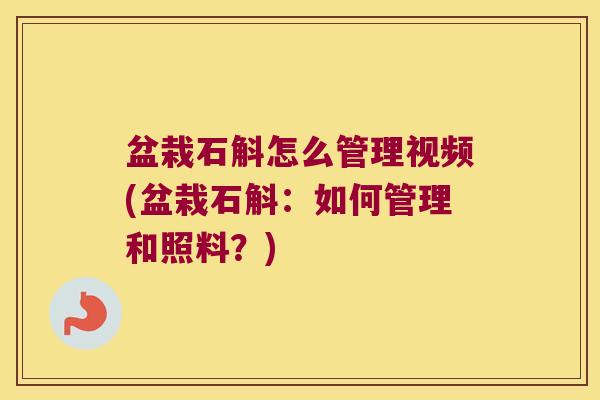 盆栽石斛怎么管理视频(盆栽石斛:如何管理和照料?) 盆栽石斛怎么管理视频(盆栽石斛:如何管理和照料?)