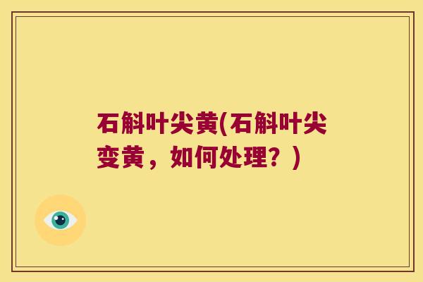 石斛叶尖黄(石斛叶尖变黄，如何处理？)