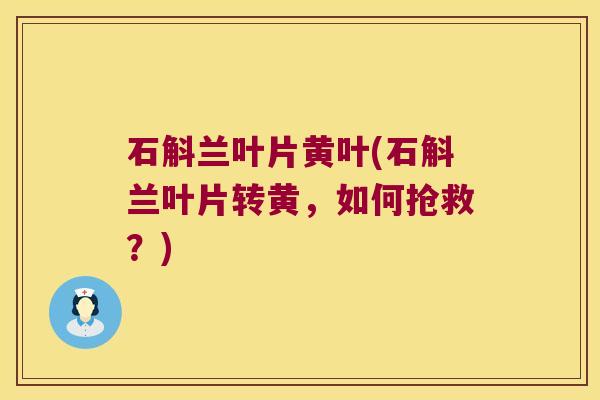 石斛兰叶片黄叶(石斛兰叶片转黄，如何抢救？)