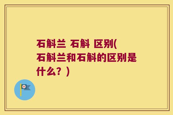 石斛兰 石斛 区别(石斛兰和石斛的区别是什么？)