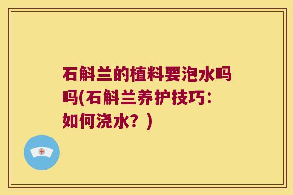 石斛兰的植料要泡水吗吗(石斛兰养护技巧：如何浇水？)