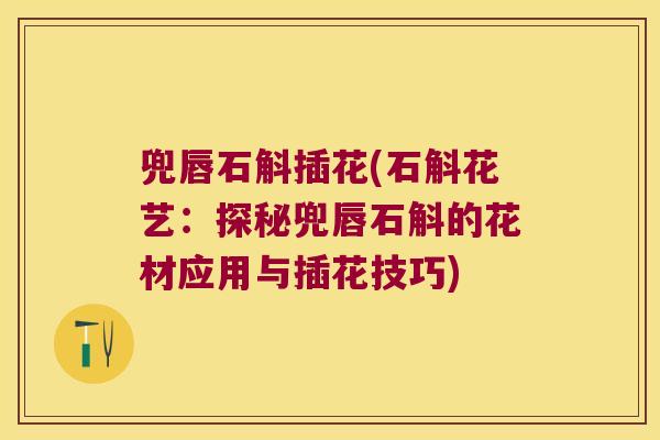 兜唇石斛插花(石斛花艺：探秘兜唇石斛的花材应用与插花技巧)