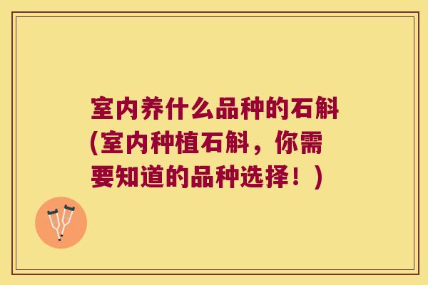 室内养什么品种的石斛(室内种植石斛，你需要知道的品种选择！)
