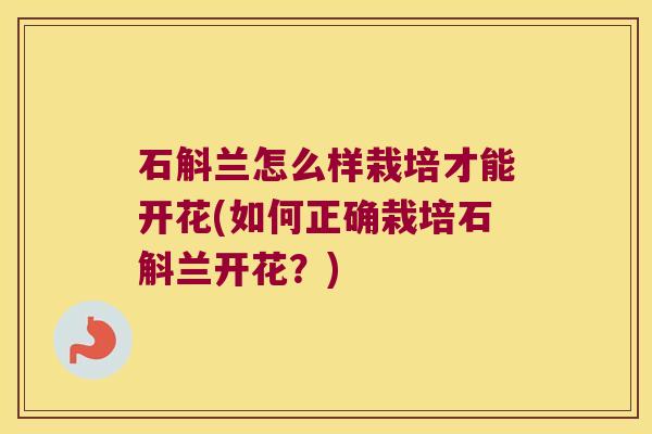 石斛兰怎么样栽培才能开花(如何正确栽培石斛兰开花？)