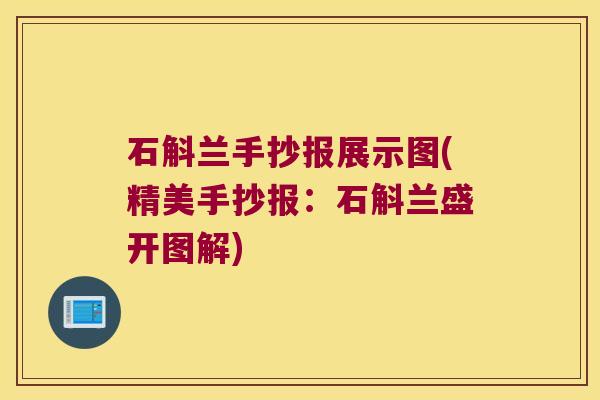 石斛兰手抄报展示图(精美手抄报：石斛兰盛开图解)