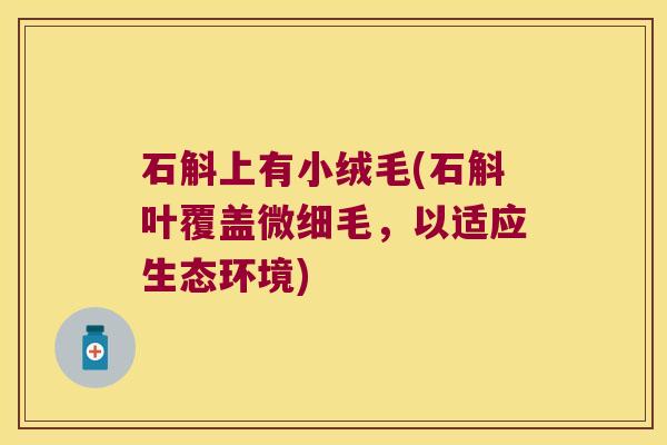 石斛上有小绒毛(石斛叶覆盖微细毛，以适应生态环境)