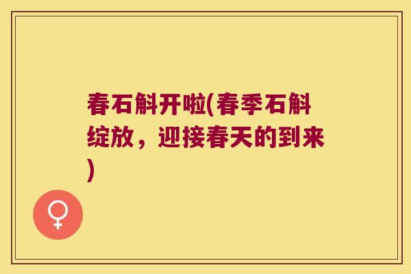 春石斛开啦(春季石斛绽放，迎接春天的到来)