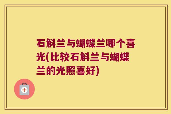 石斛兰与蝴蝶兰哪个喜光(比较石斛兰与蝴蝶兰的光照喜好)