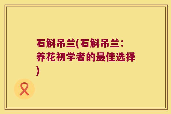 石斛吊兰(石斛吊兰：养花初学者的佳选择)