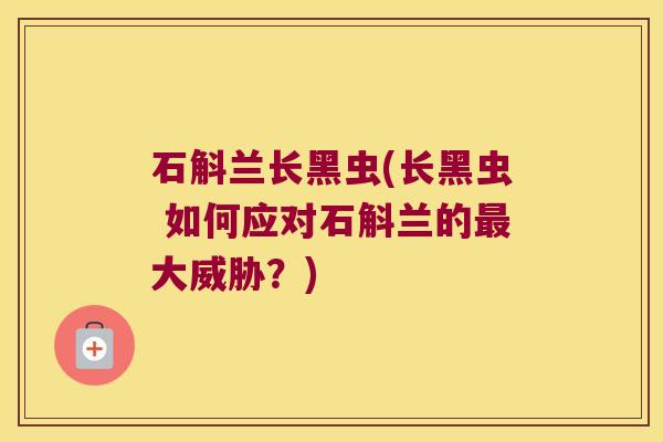 石斛兰长黑虫(长黑虫 如何应对石斛兰的大威胁？)