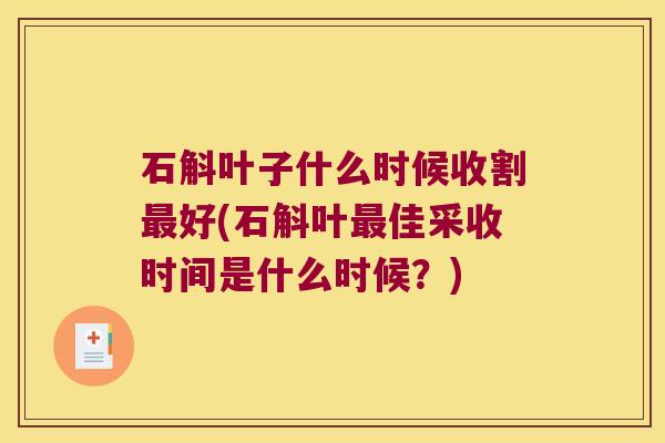 石斛叶子什么时候收割好(石斛叶佳采收时间是什么时候？)