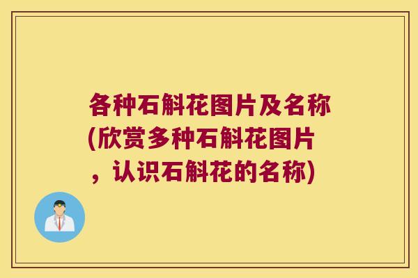 各种石斛花图片及名称(欣赏多种石斛花图片，认识石斛花的名称)