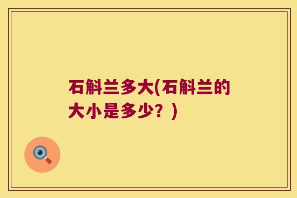 石斛兰多大(石斛兰的大小是多少？)