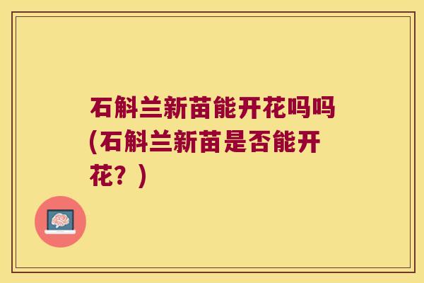 石斛兰新苗能开花吗吗(石斛兰新苗是否能开花？)
