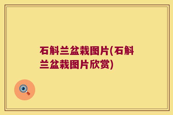 石斛兰盆栽图片(石斛兰盆栽图片欣赏)