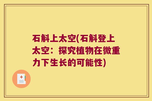 石斛上太空(石斛登上太空：探究植物在微重力下生长的可能性)