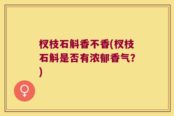 杈枝石斛香不香(杈枝石斛是否有浓郁香气？)