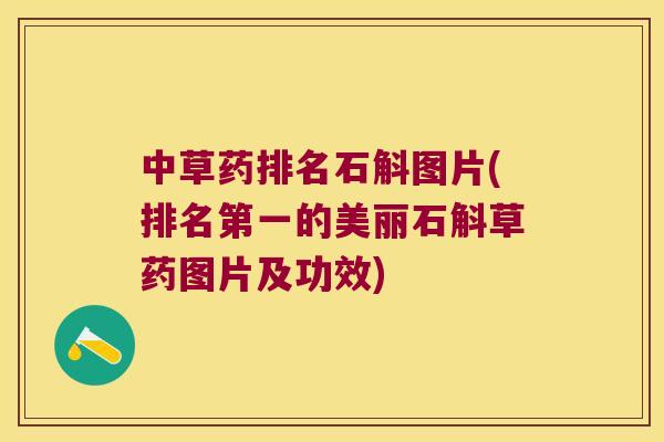 中草药排名石斛图片(排名第一的美丽石斛草药图片及功效)