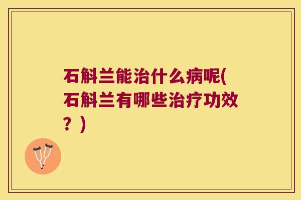 石斛兰能治什么病呢(石斛兰有哪些治疗功效？)