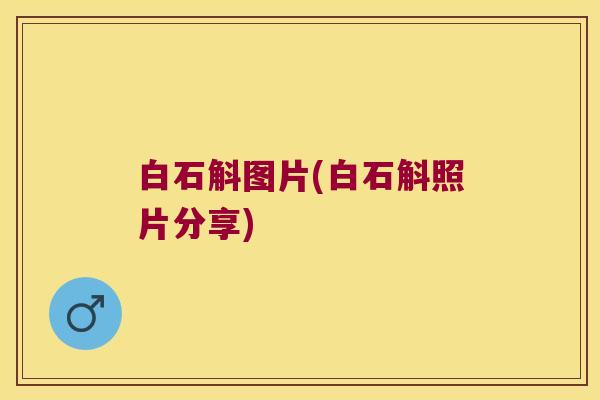 白石斛图片(白石斛照片分享)