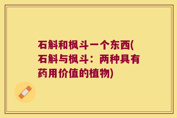 石斛和枫斗一个东西(石斛与枫斗：两种具有药用价值的植物)