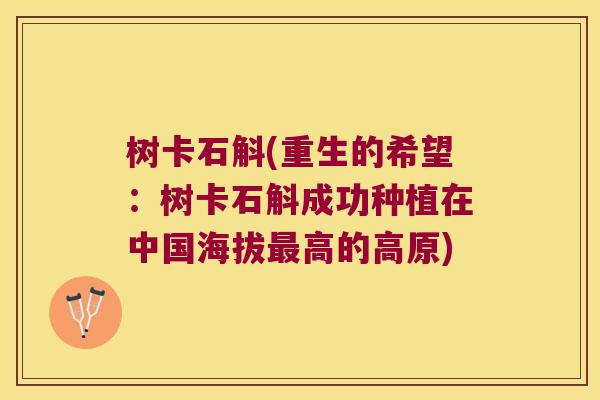 树卡石斛(重生的希望：树卡石斛成功种植在中国海拔最高的高原)