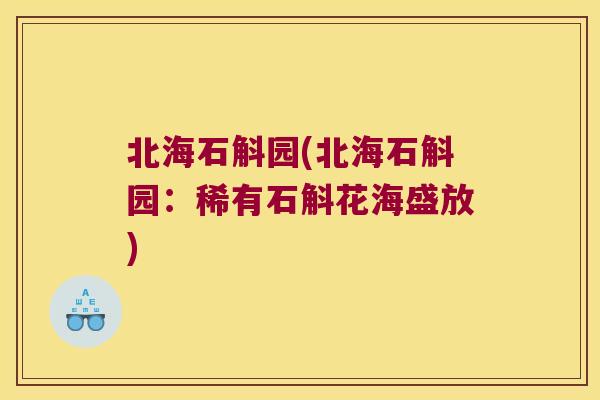 北海石斛园(北海石斛园：稀有石斛花海盛放)