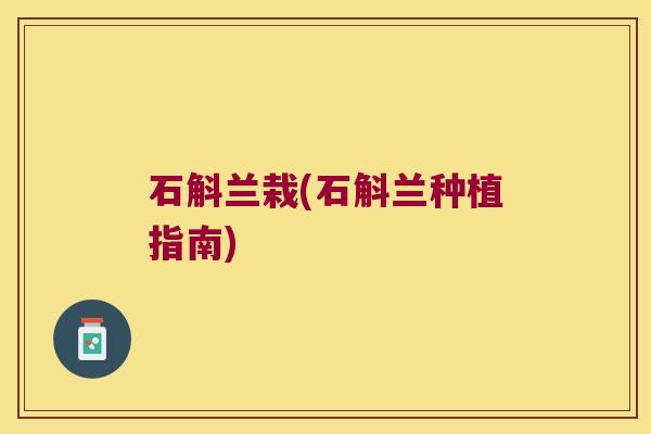 石斛兰栽(石斛兰种植指南)