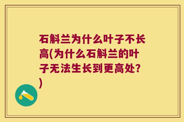 石斛兰为什么叶子不长高(为什么石斛兰的叶子无法生长到更高处？)