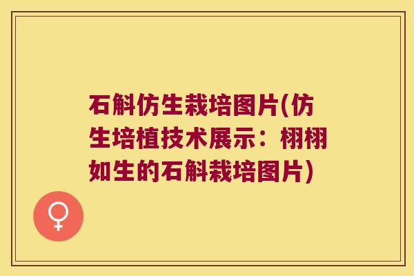 石斛仿生栽培图片(仿生培植技术展示：栩栩如生的石斛栽培图片)