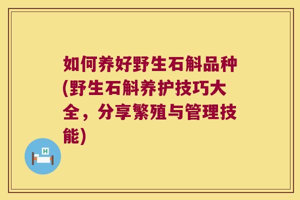 如何养好野生石斛品种(野生石斛养护技巧大全，分享繁殖与管理技能)