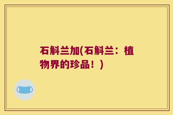 石斛兰加(石斛兰：植物界的珍品！)