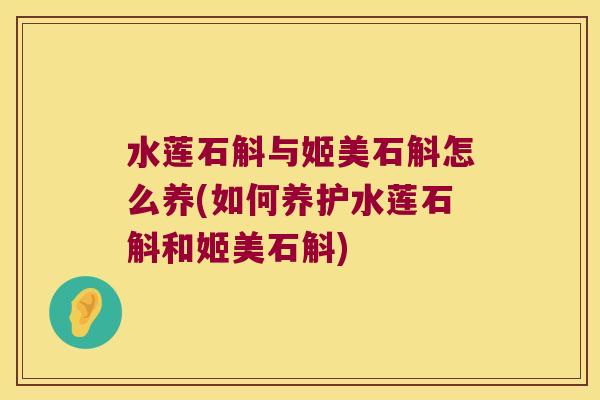 水莲石斛与姬美石斛怎么养(如何养护水莲石斛和姬美石斛)